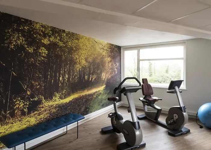 Ibis Styles Lyon Eurexpo Otel
