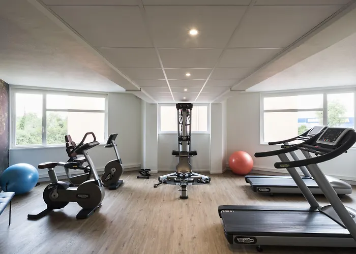 Ibis Styles Lyon Eurexpo 3*